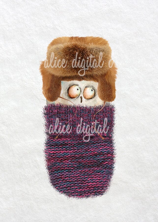 Cute Owls in Sweaters Postcards Post Cards ila & alice