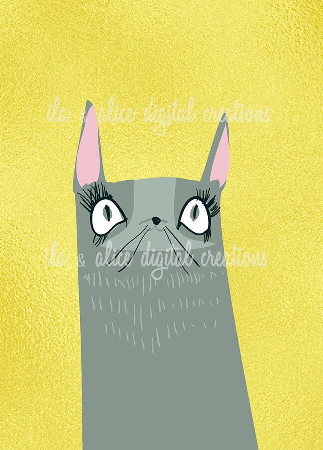 Funny Cat Illustration Postcards Post Cards ila & alice