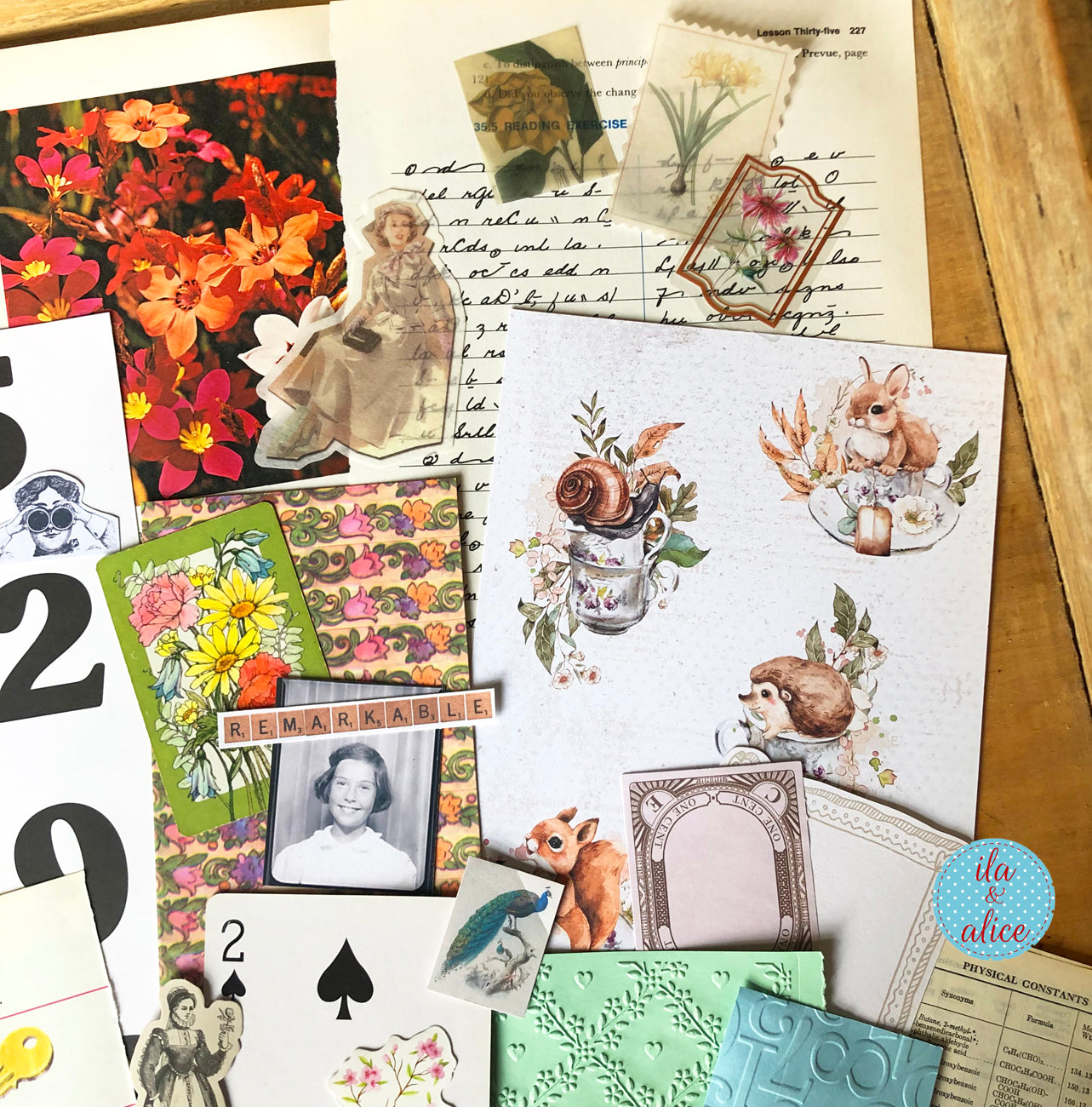 Curiosities No. 08 – Squirrels & Snails Mix · Large