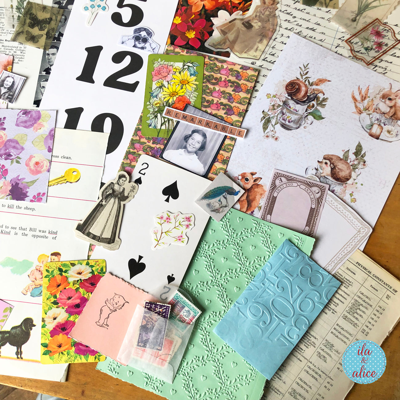 Curiosities No. 08 – Squirrels & Snails Mix · Large