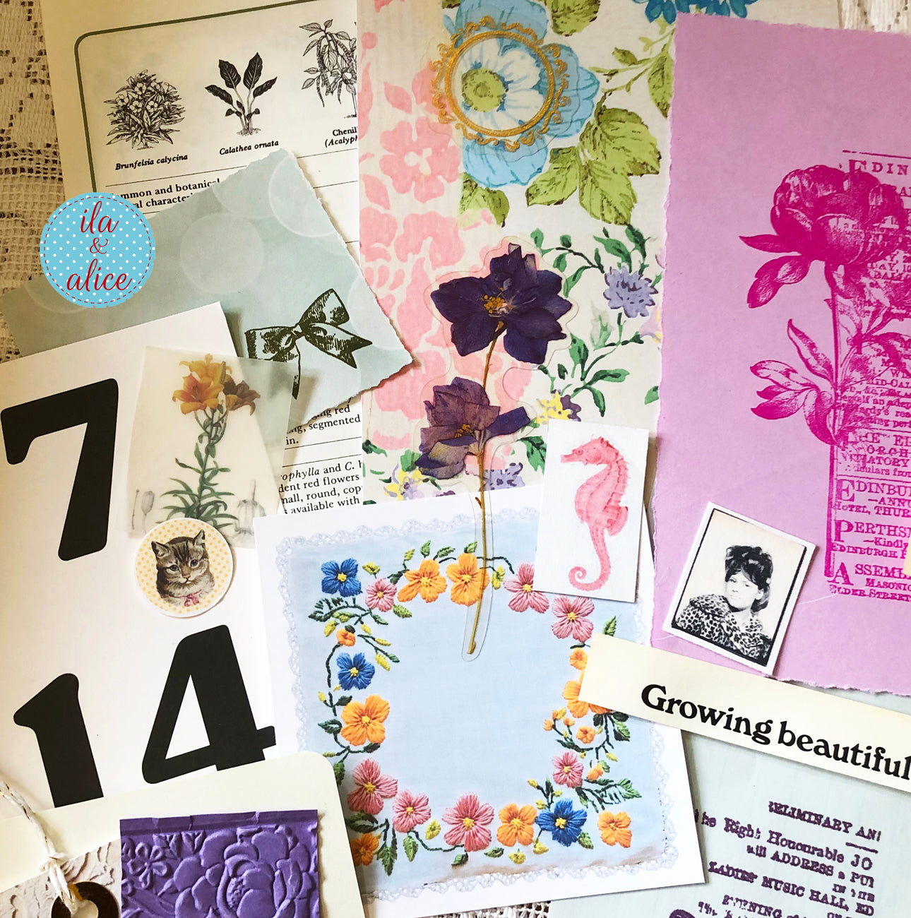 Curated 6x9 junk journal ephemera pack with layered papers, botanical elements, and tuck-able pieces. Vintage pieces of ephemera and vintage book pages included.
